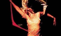 法国伦理四级在线观看,在线观看的激情与思考之旅